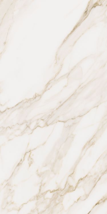 Omnia Calacatta Levigato 12 x 24